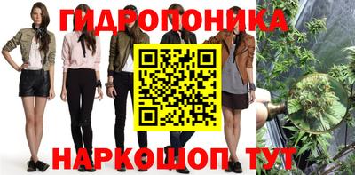 спиды Моздок