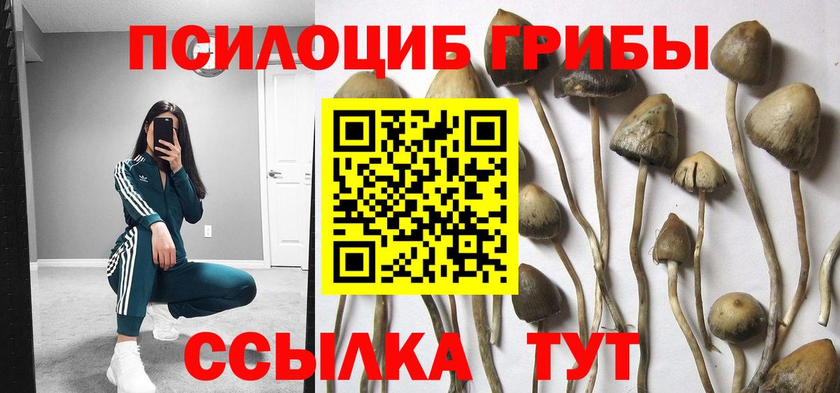 Псилоцибиновые грибы MAGIC MUSHROOMS Советск