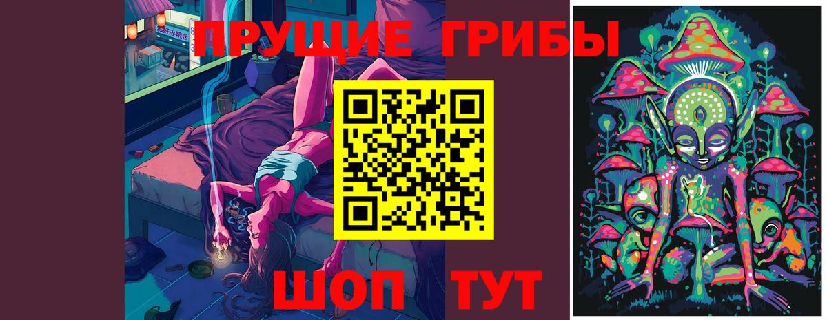 Советск  Псилоцибиновые грибы Magic Shrooms  Псилоцибиновые грибы Psilocybe  Вход с VPN 